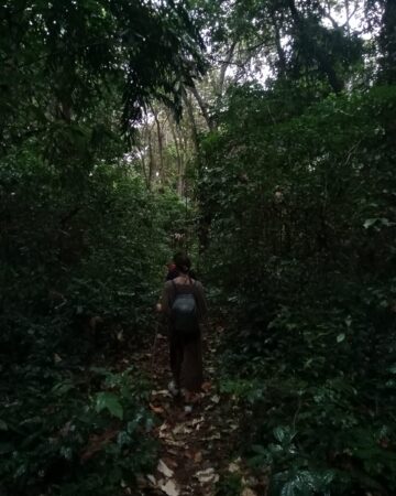 Ujung Kulon National Park